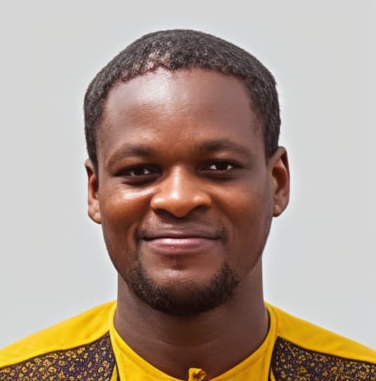 Seyram K. MENSAH-AMEDJRO